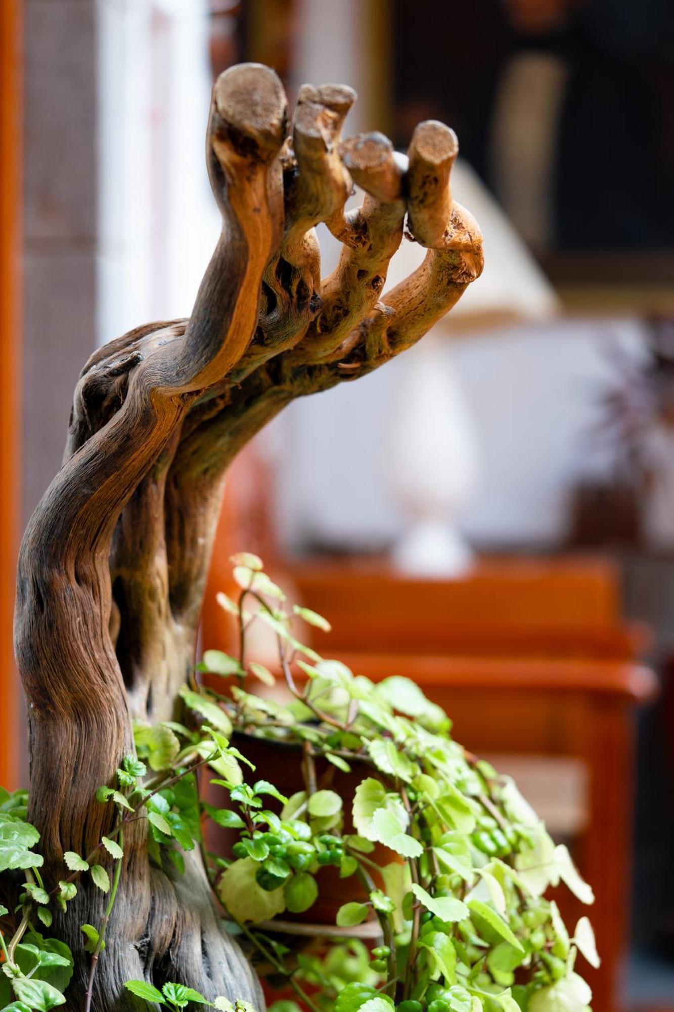 Hotel La Posada De Atahualpa Cusco Ngoại thất bức ảnh